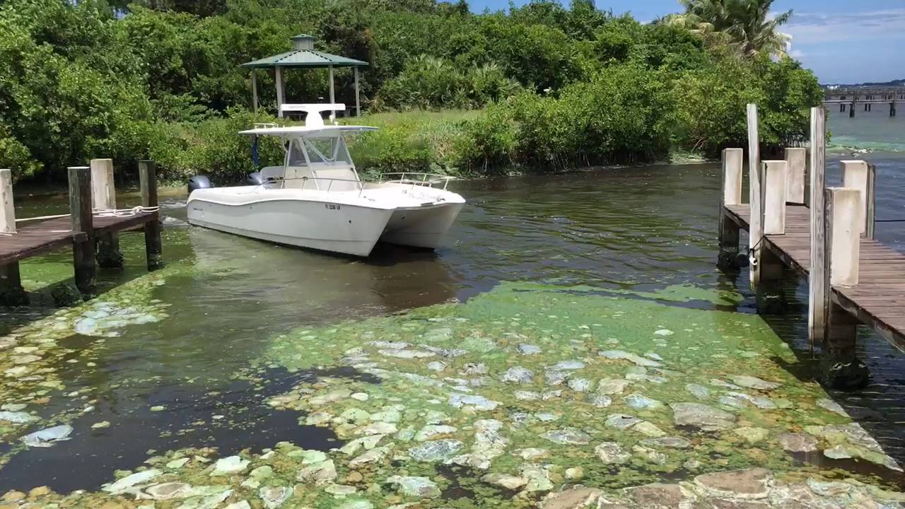 Drylet’s technology selected to remediate algae infestation in Florida